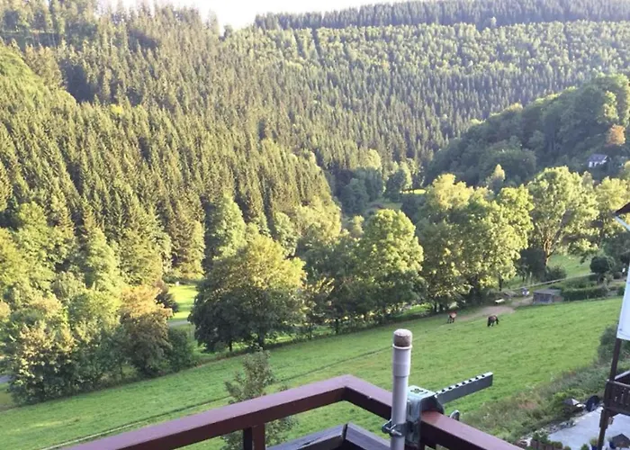 Apartment Nordenau *