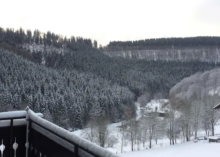 Apartment Nordenau *